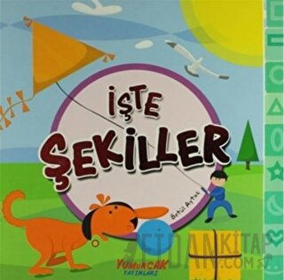 İşte Şekiller Betül Aytaç