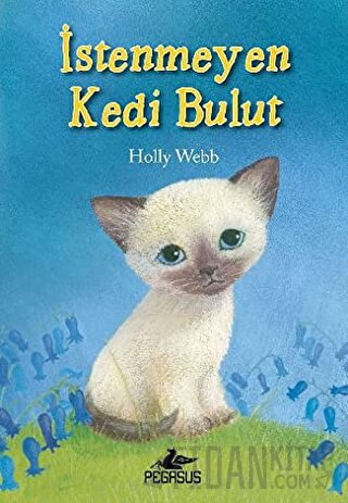 İstenmeyen Kedi Bulut Holly Webb