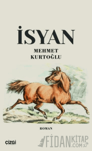 İsyan Mehmet Kurtoğlu