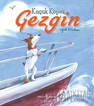 Kaçak Köpek Gezgin Gill Mclean