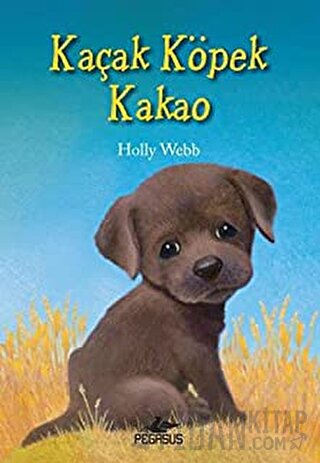 Kaçak Köpek Kakao Holly Webb