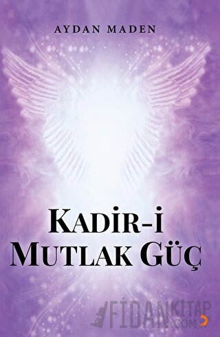 Kadir-i Mutlak Güç Aydan Maden