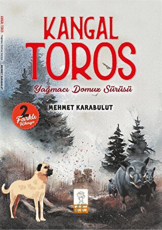 Kangal Toros - Yağmacı Domuz Sürüsü Mehmet Karabulut