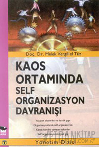 Kaos Ortamında Self Organizasyon Davranışı Melek Vergiliel Tüz