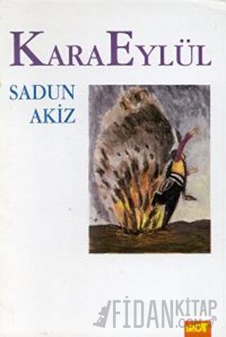 Kara Eylül Sadun Akiz