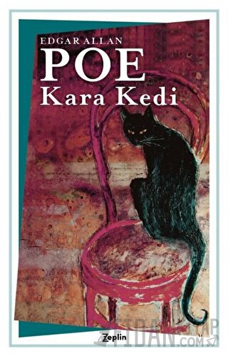 Kara Kedi Edgar Allan Poe