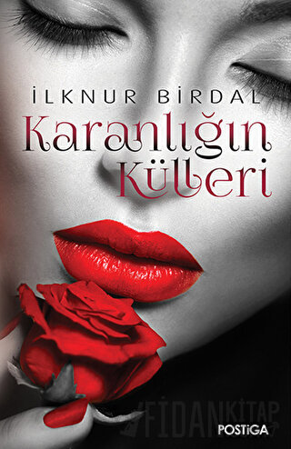 Karanlığın Külleri İlknur Birdal