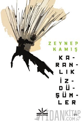 Karanlık İzdüşümler Zeynep Kamış