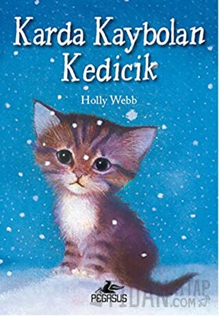 Karda Kaybolan Kedicik Holly Webb