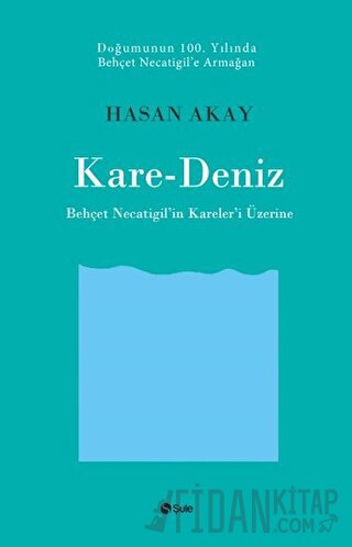 Kare-Deniz Hasan Akay