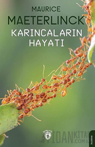 Karıncaların Hayatı Maurice Maeterlinck