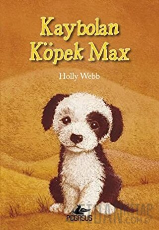 Kaybolan Köpek Max Holly Webb