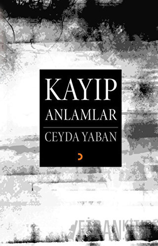 Kayıp Anlamlar Ceyda Yaban