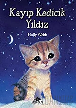 Kayıp Kedicik Yıldız Holly Webb