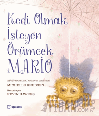 Kedi Olmak İsteyen Örümcek Mario Michelle Knudsen