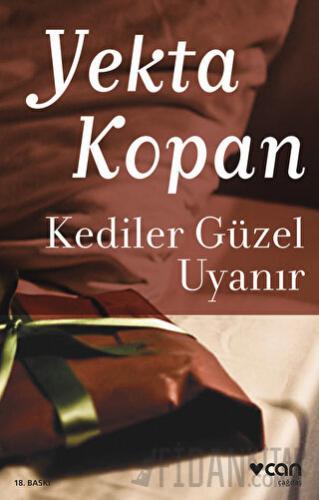 Kediler Güzel Uyanır Yekta Kopan