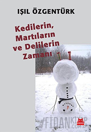 Kedilerin, Martıların ve Delilerin Zamanı Işıl Özgentürk