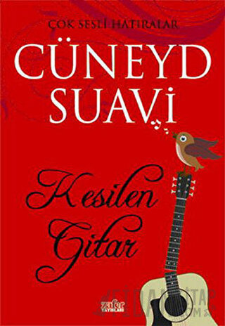 Kesilen Gitar Cüneyd Suavi