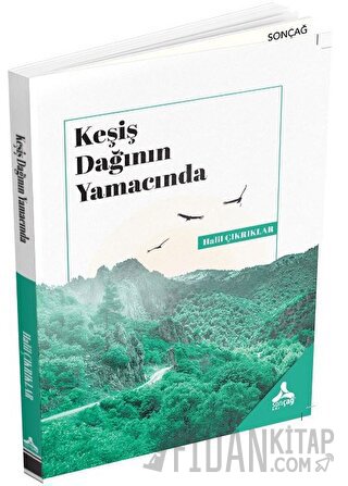 Keşiş Dağının Yamacında Halil Çıkrıklar