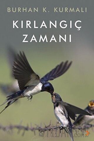 Kırlangıç Zamanı Burhan K. Kurmalı