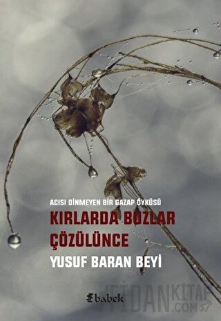 Kırlarda Buzlar Çözülünce Yusuf Baran Beyi