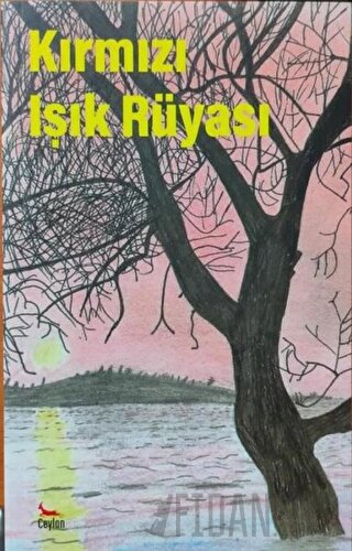 Kırmızı Işık Rüyası Kolektif