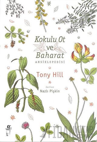 Kokulu Ot ve Baharat Ansiklopedisi Tony Hill