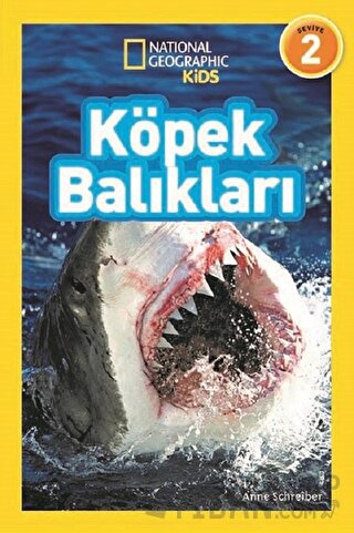 Köpek Balıkları (Seviye 2) Anne Schreiber