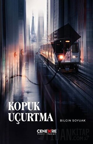 Kopuk Uçurtma Bilgin Soyuak