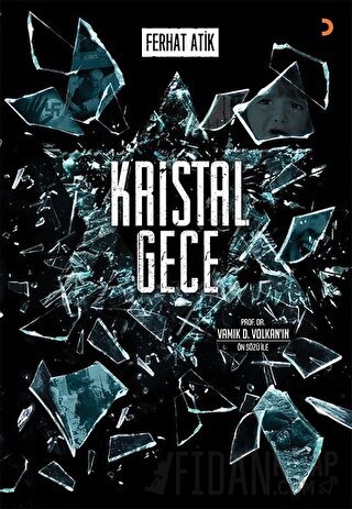 Kristal Gece Ferhat Atik