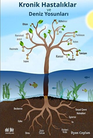 Kronik Hastalıklar ve Deniz Yosunları İlyas Ceylan