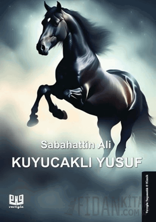 Kuyucaklı Yusuf Sabahattin Ali