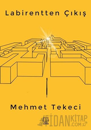 Labirentten Çıkış Mehmet Tekeci