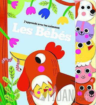 Les Bebes J'apprends Avec Les Animaux (Ciltli) Kolektif