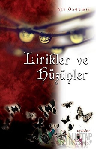 Lirikler ve Hüzünler Ali Özdemir