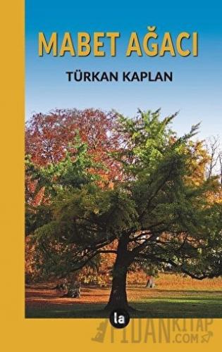 Mabet Ağacı Türkan Kaplan