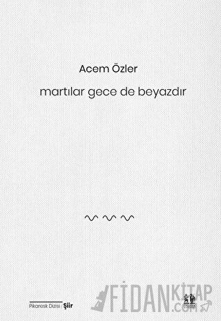 Martılar Gece de Beyazdır Acem Özler