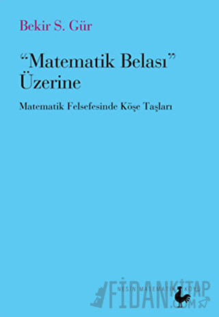 Matematik Belası Üzerine Bekir S. Gür