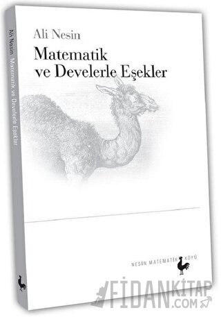 Matematik ve Develerle Eşekler Ali Nesin