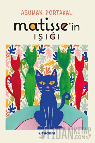 Matisse'in Işığı Asuman Portakal