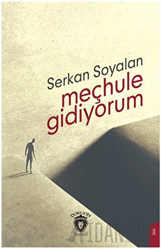 Meçhule Gidiyorum Serkan Soyalan