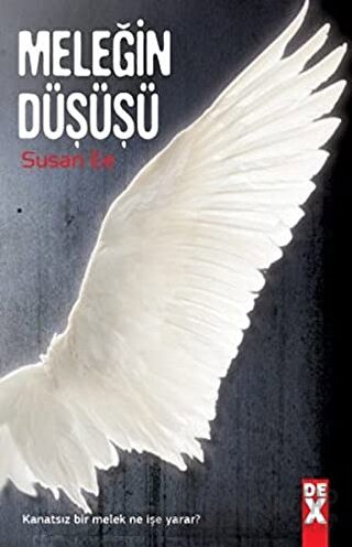 Meleğin Düşüşü Susan Ee