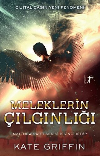 Meleklerin Çılgınlığı Kate Griffin