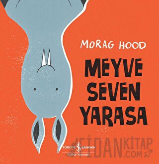 Meyve Seven Yarasa Morag Hood