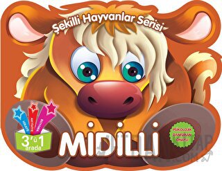 Midilli Kolektif