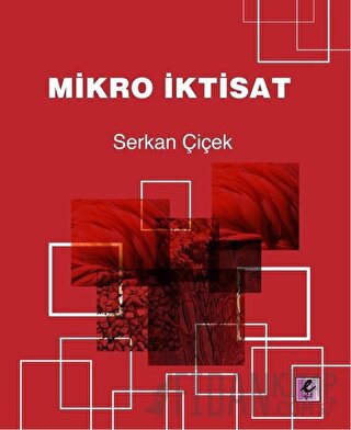 Mikro İktisat Serkan Çiçek