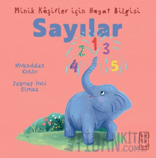 Minik Kâşifler için Hayat Bilgisi - Sayılar Mukaddes Kutlu