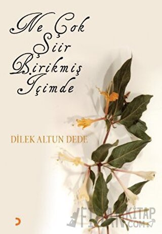 Ne Çok Şiir Birikmiş İçimde Dilek Altun Dede