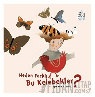 Neden Farklı Bu Kelebekler? Işın Nur Cicerali