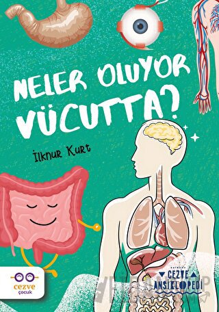 Neler Oluyor Vücutta? – Cezve Ansiklopedi İlknur Kurt